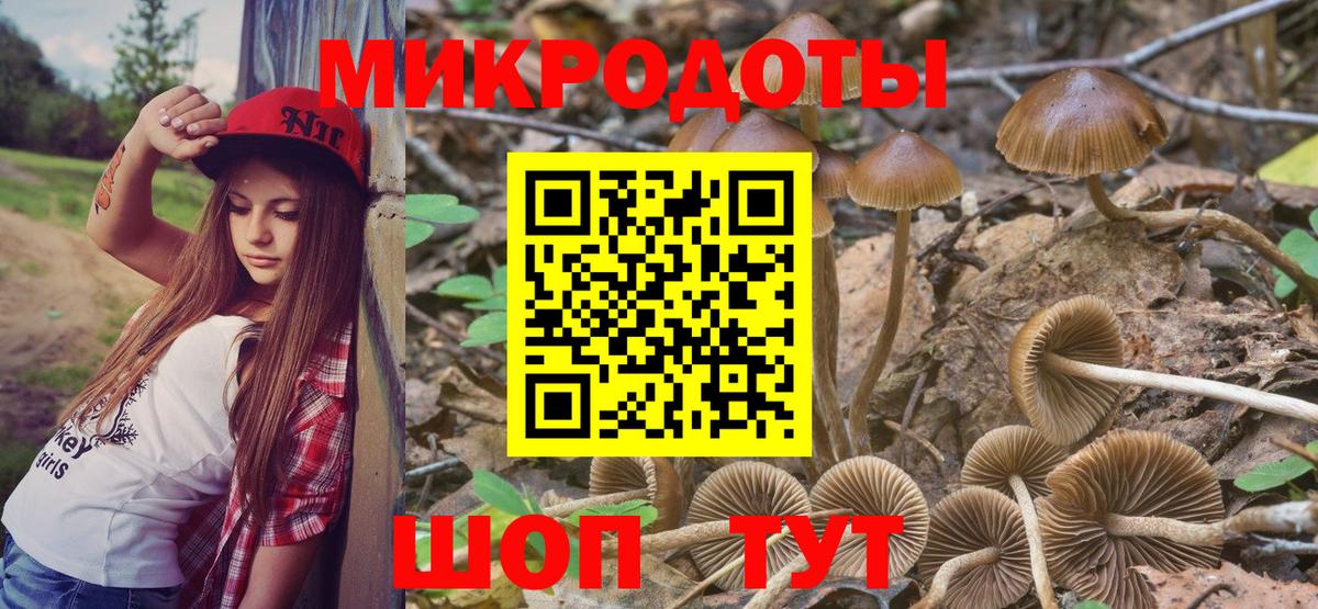 Псилоцибиновые грибы мицелий  Галлюциногенные грибы Psilocybine cubensis  Ростов-на-Дону  Вход с VPN 