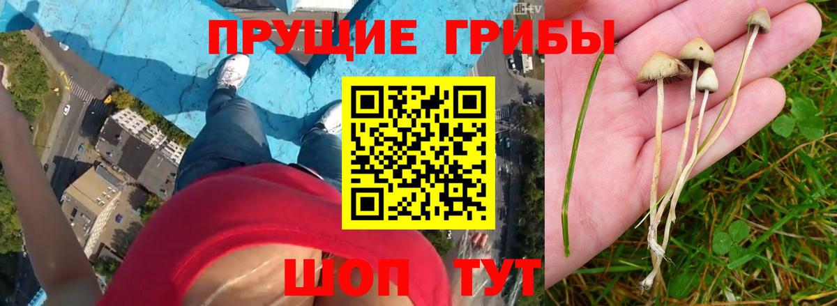 Псилоцибиновые грибы MAGIC MUSHROOMS Ростов-на-Дону